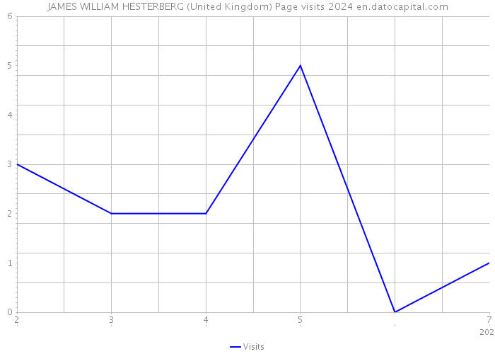 JAMES WILLIAM HESTERBERG (United Kingdom) Page visits 2024 