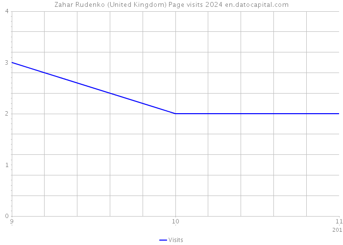 Zahar Rudenko (United Kingdom) Page visits 2024 