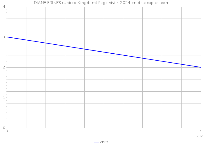 DIANE BRINES (United Kingdom) Page visits 2024 