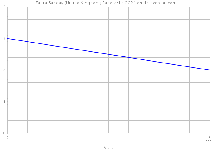 Zahra Banday (United Kingdom) Page visits 2024 