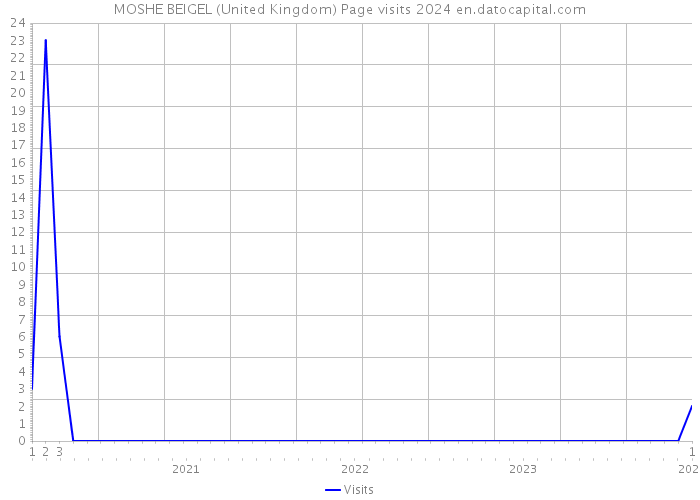 MOSHE BEIGEL (United Kingdom) Page visits 2024 
