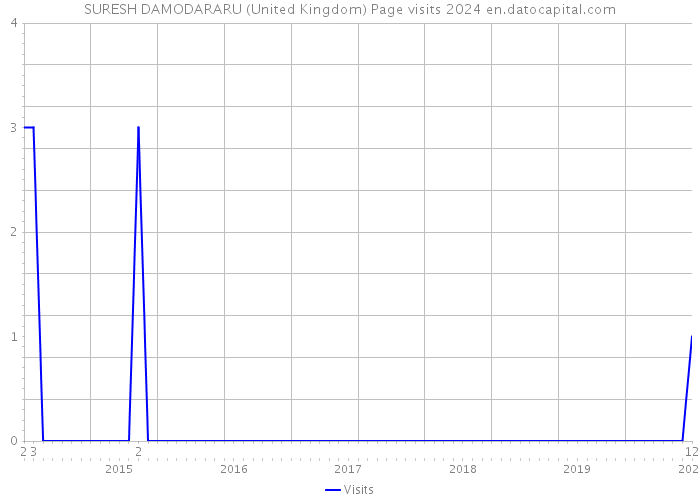 SURESH DAMODARARU (United Kingdom) Page visits 2024 