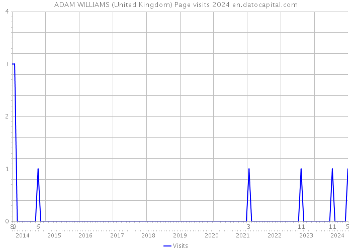 ADAM WILLIAMS (United Kingdom) Page visits 2024 
