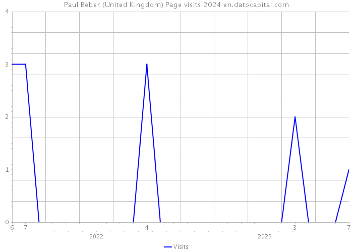 Paul Beber (United Kingdom) Page visits 2024 