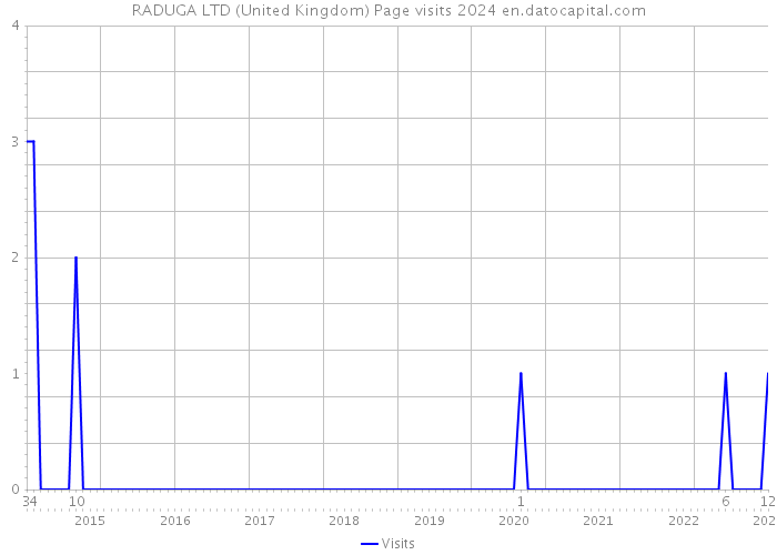RADUGA LTD (United Kingdom) Page visits 2024 