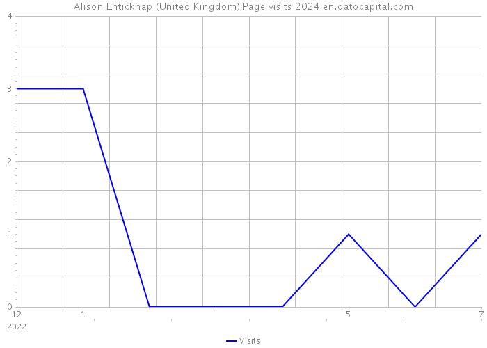 Alison Enticknap (United Kingdom) Page visits 2024 