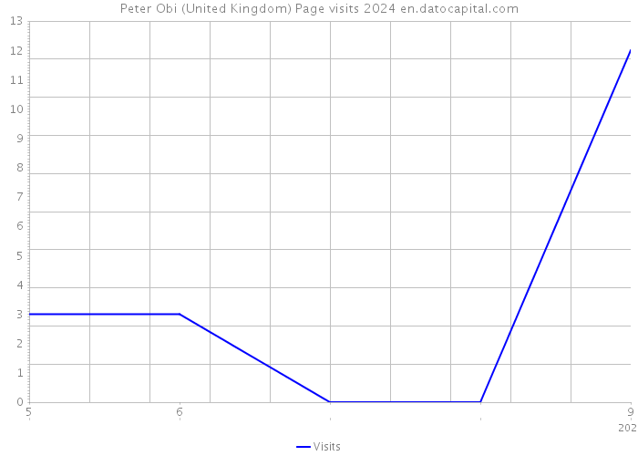 Peter Obi (United Kingdom) Page visits 2024 
