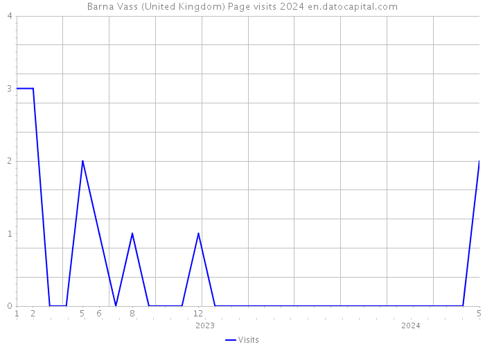 Barna Vass (United Kingdom) Page visits 2024 