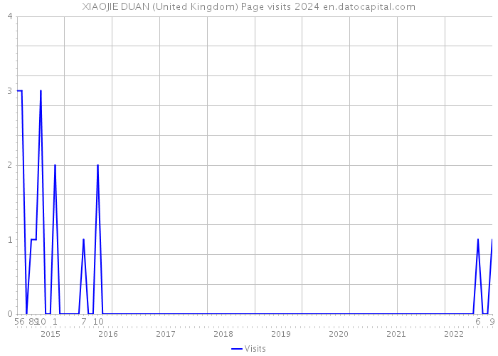 XIAOJIE DUAN (United Kingdom) Page visits 2024 