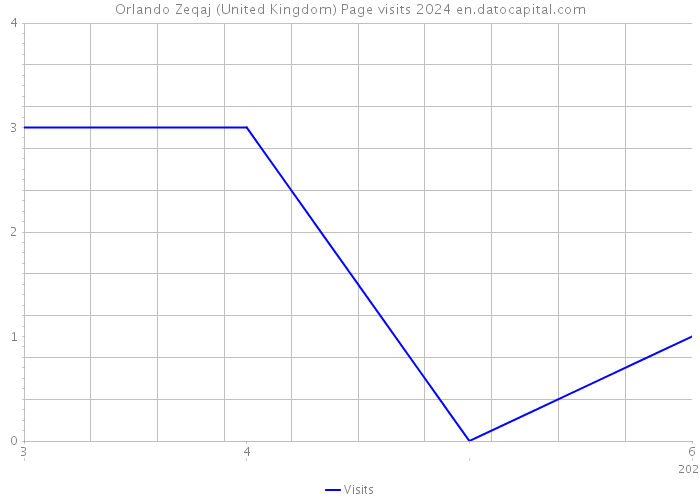 Orlando Zeqaj (United Kingdom) Page visits 2024 