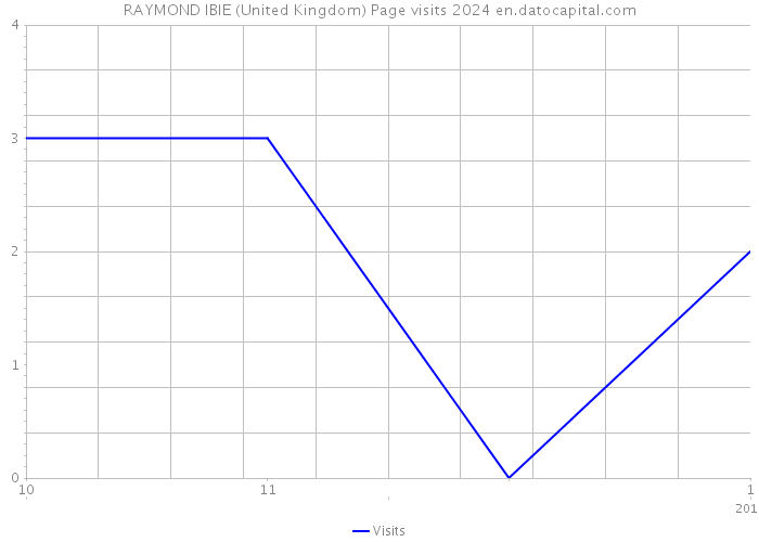 RAYMOND IBIE (United Kingdom) Page visits 2024 