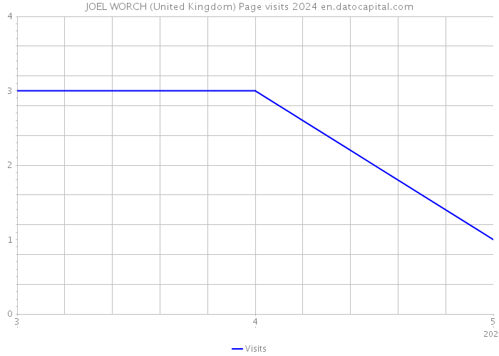 JOEL WORCH (United Kingdom) Page visits 2024 