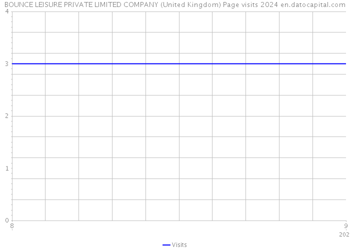 BOUNCE LEISURE PRIVATE LIMITED COMPANY (United Kingdom) Page visits 2024 