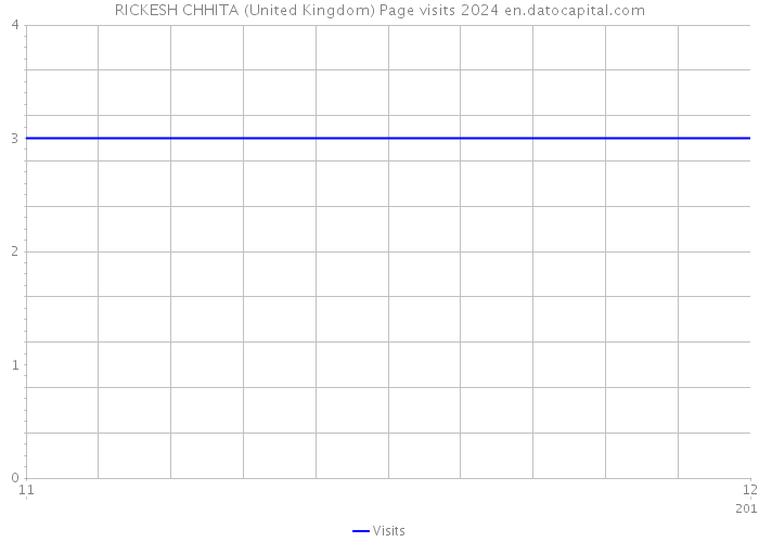 RICKESH CHHITA (United Kingdom) Page visits 2024 