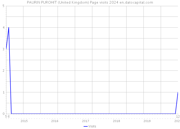 PAURIN PUROHIT (United Kingdom) Page visits 2024 