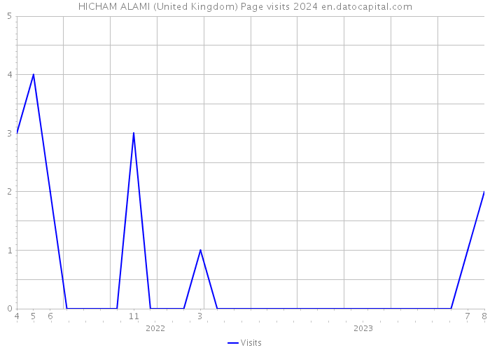 HICHAM ALAMI (United Kingdom) Page visits 2024 