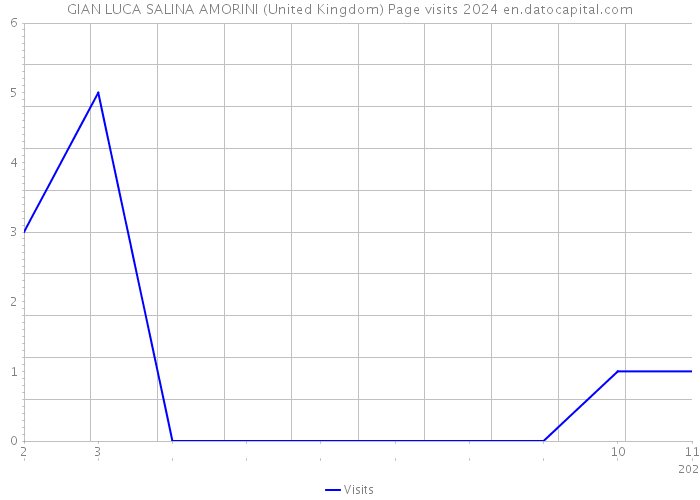 GIAN LUCA SALINA AMORINI (United Kingdom) Page visits 2024 