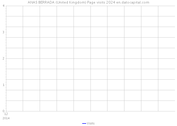 ANAS BERRADA (United Kingdom) Page visits 2024 