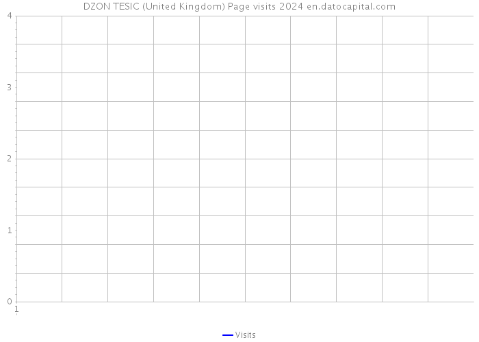 DZON TESIC (United Kingdom) Page visits 2024 