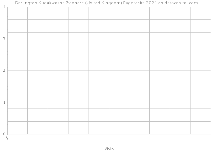 Darlington Kudakwashe Zvionere (United Kingdom) Page visits 2024 