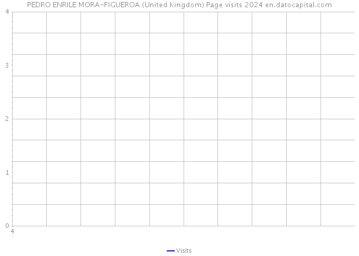 PEDRO ENRILE MORA-FIGUEROA (United Kingdom) Page visits 2024 