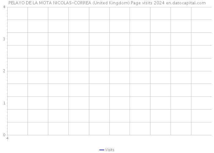 PELAYO DE LA MOTA NICOLAS-CORREA (United Kingdom) Page visits 2024 
