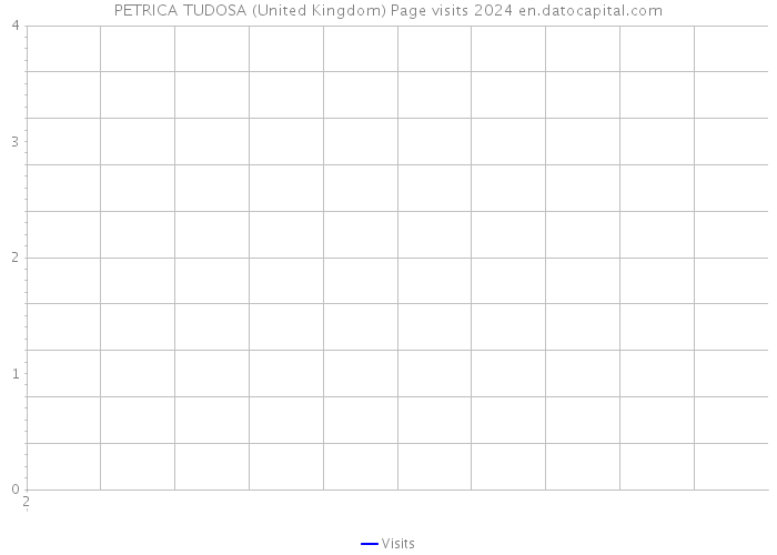 PETRICA TUDOSA (United Kingdom) Page visits 2024 