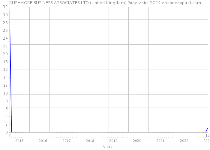 RUSHMORE BUSINESS ASSOCIATES LTD (United Kingdom) Page visits 2024 