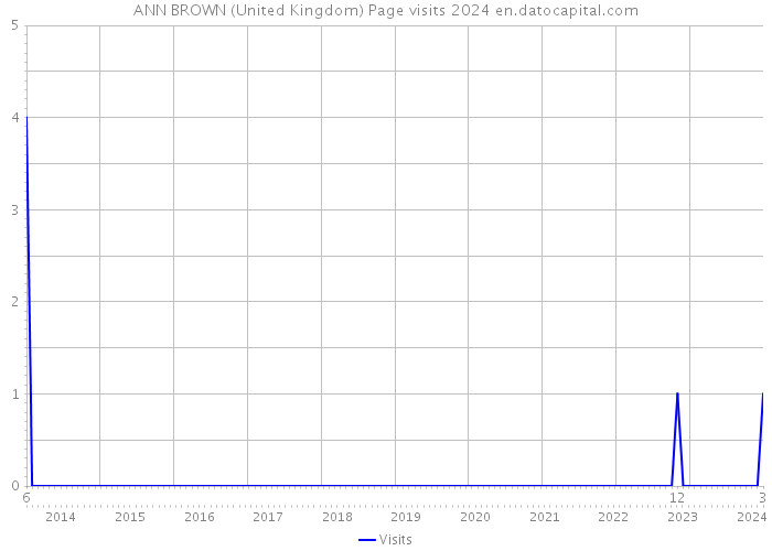 ANN BROWN (United Kingdom) Page visits 2024 