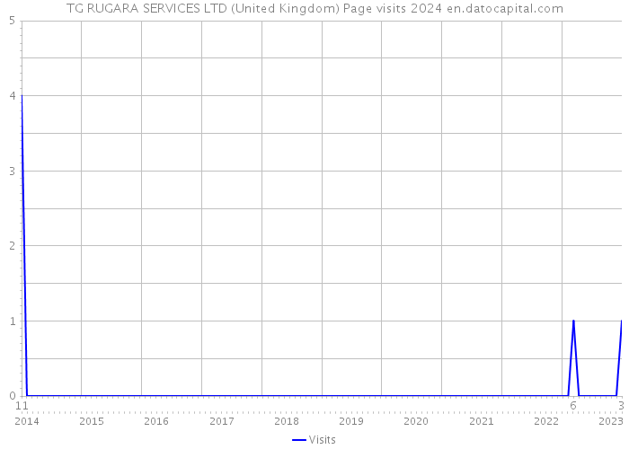 TG RUGARA SERVICES LTD (United Kingdom) Page visits 2024 