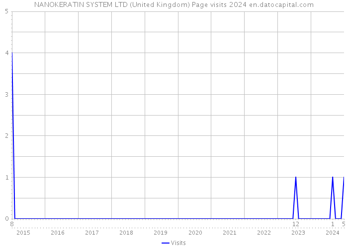 NANOKERATIN SYSTEM LTD (United Kingdom) Page visits 2024 