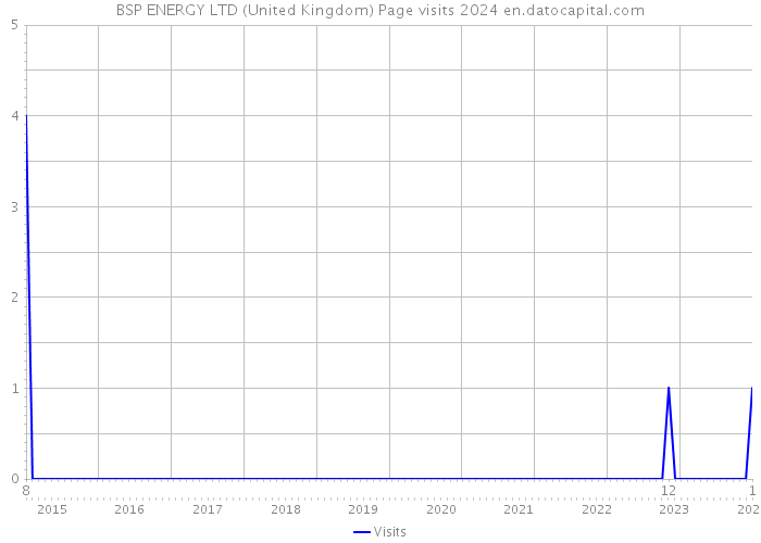 BSP ENERGY LTD (United Kingdom) Page visits 2024 