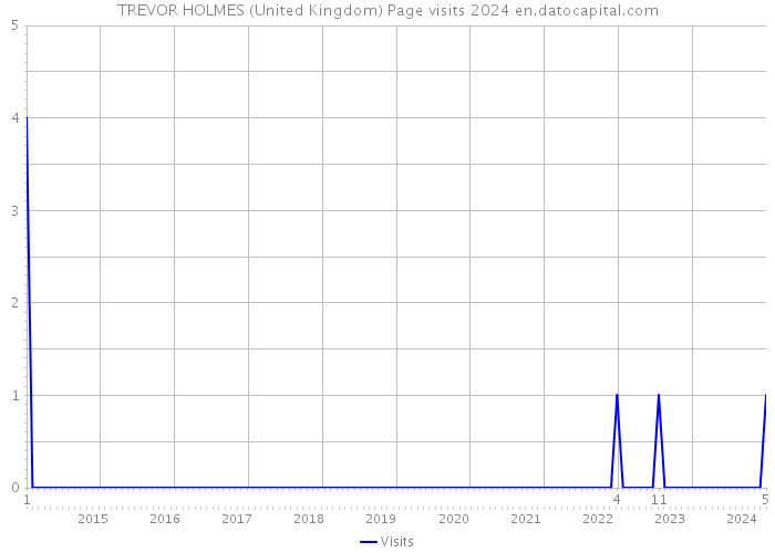 TREVOR HOLMES (United Kingdom) Page visits 2024 