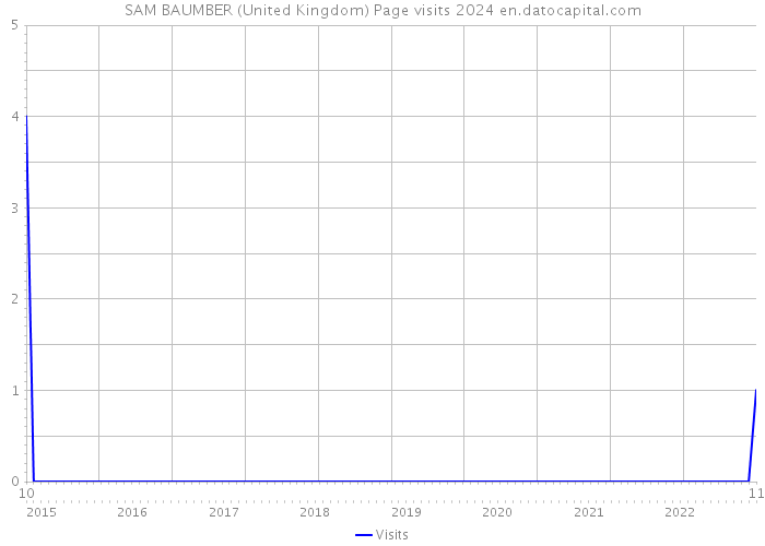 SAM BAUMBER (United Kingdom) Page visits 2024 