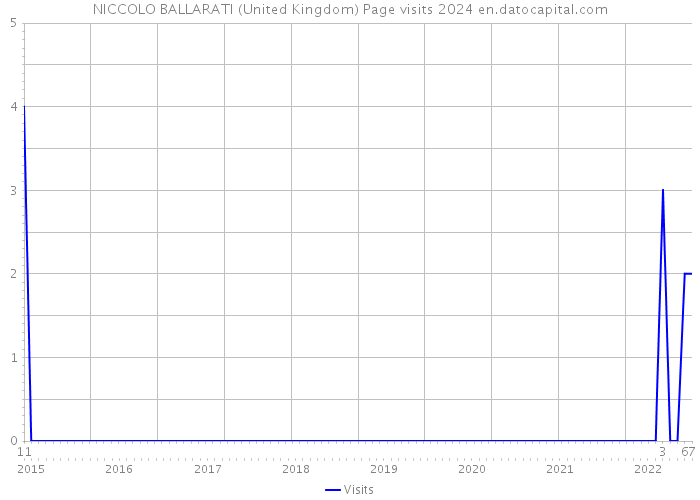 NICCOLO BALLARATI (United Kingdom) Page visits 2024 