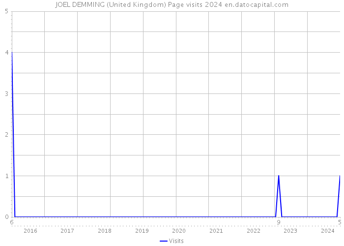 JOEL DEMMING (United Kingdom) Page visits 2024 