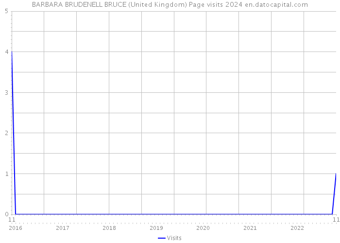 BARBARA BRUDENELL BRUCE (United Kingdom) Page visits 2024 