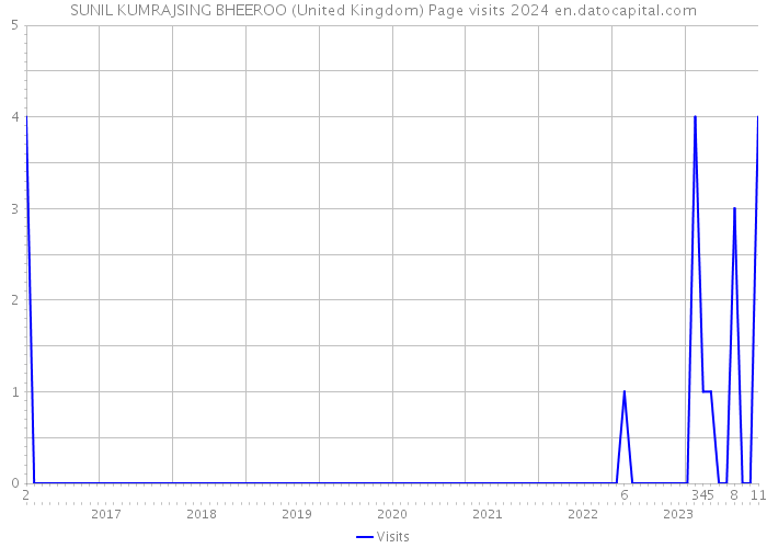 SUNIL KUMRAJSING BHEEROO (United Kingdom) Page visits 2024 