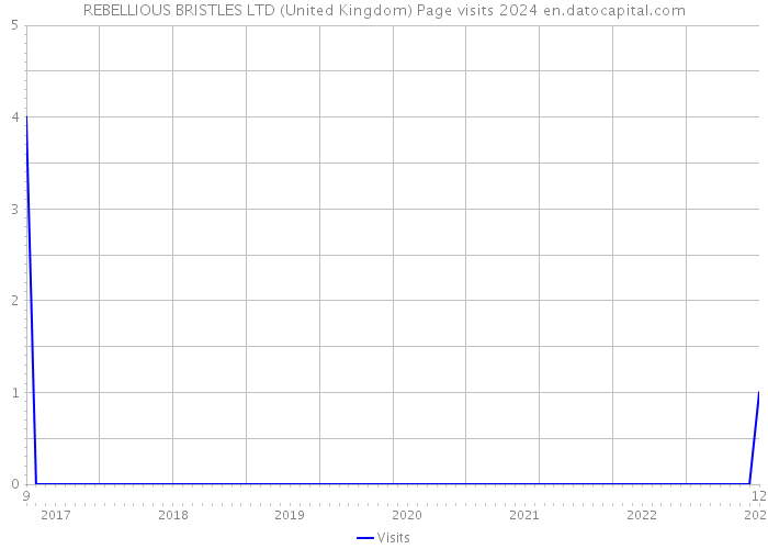 REBELLIOUS BRISTLES LTD (United Kingdom) Page visits 2024 
