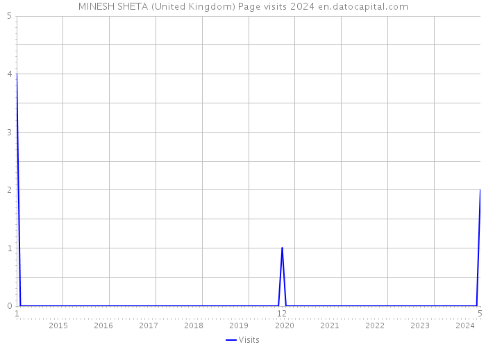 MINESH SHETA (United Kingdom) Page visits 2024 