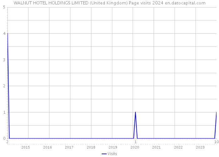 WALNUT HOTEL HOLDINGS LIMITED (United Kingdom) Page visits 2024 