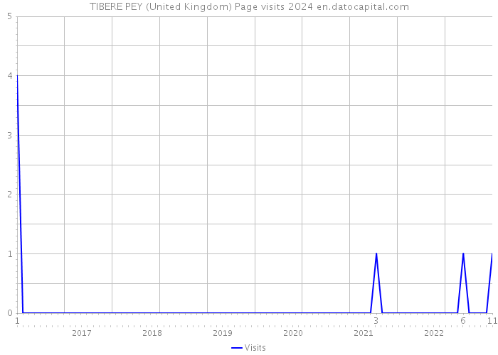 TIBERE PEY (United Kingdom) Page visits 2024 