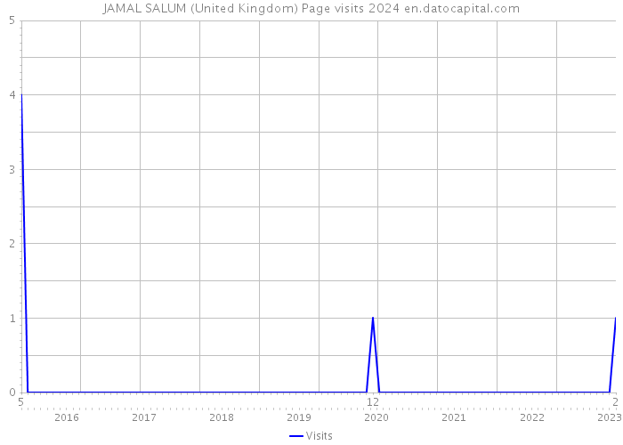 JAMAL SALUM (United Kingdom) Page visits 2024 