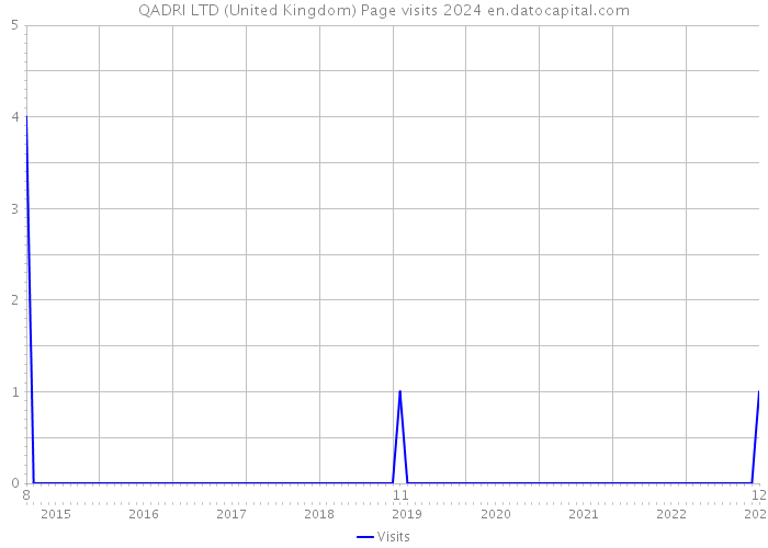 QADRI LTD (United Kingdom) Page visits 2024 