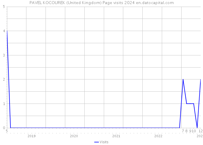 PAVEL KOCOUREK (United Kingdom) Page visits 2024 