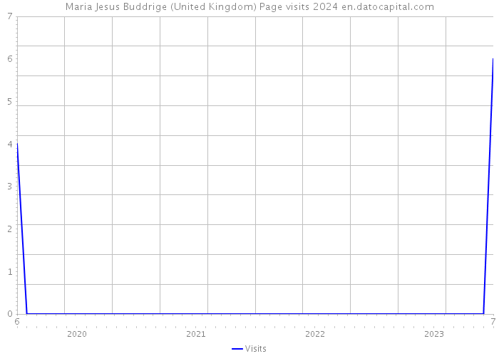 Maria Jesus Buddrige (United Kingdom) Page visits 2024 