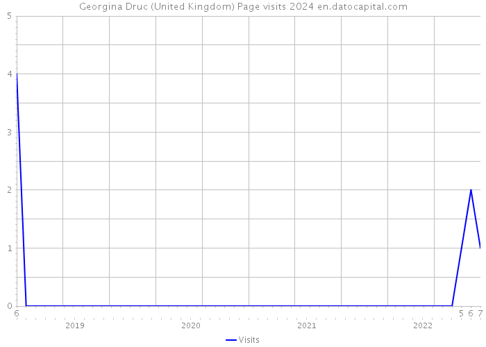 Georgina Druc (United Kingdom) Page visits 2024 