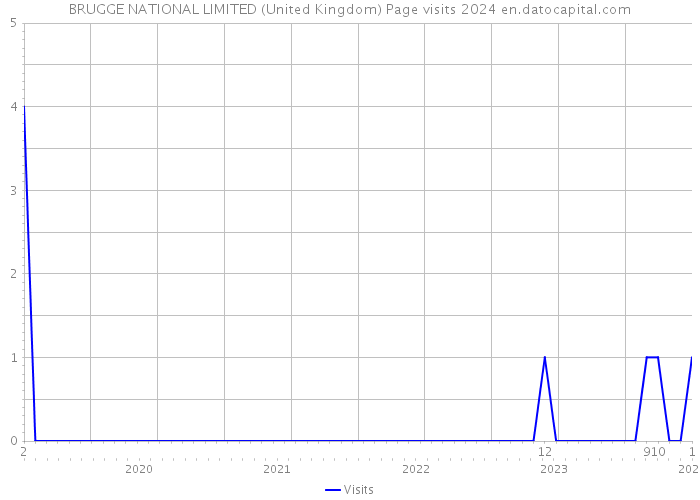 BRUGGE NATIONAL LIMITED (United Kingdom) Page visits 2024 