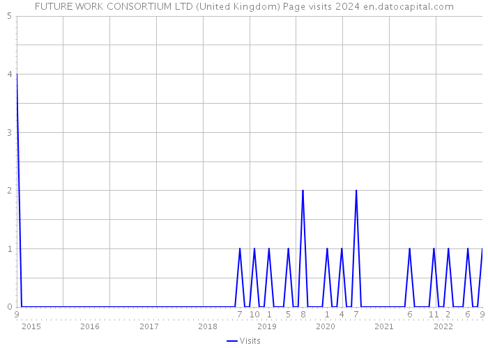 FUTURE WORK CONSORTIUM LTD (United Kingdom) Page visits 2024 