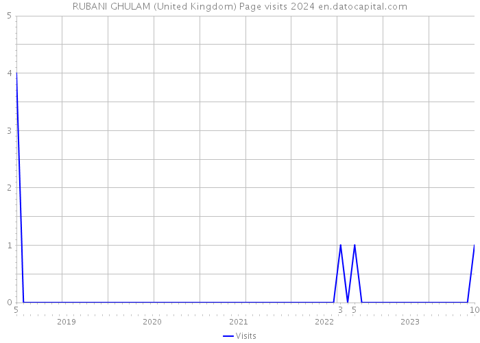 RUBANI GHULAM (United Kingdom) Page visits 2024 